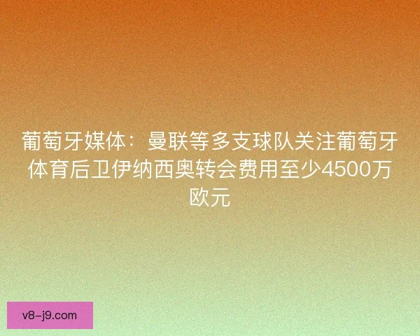 葡萄牙媒体：曼联等多支球队关注葡萄牙体育后卫伊纳西奥转会费用至少4500万欧元
